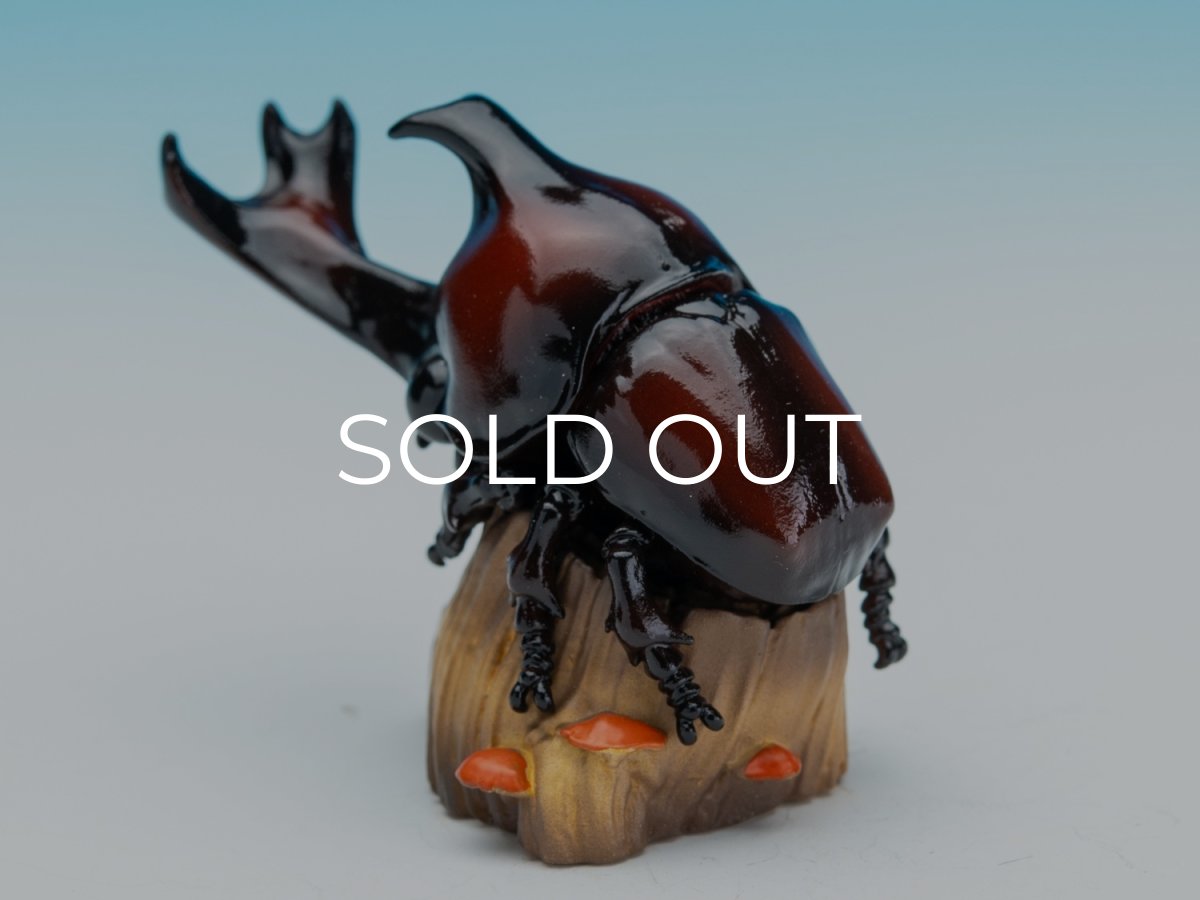 画像3: カブトムシ (3)