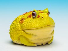 画像1: クラウンウェルツノガエル（ピカチュウ） (1)