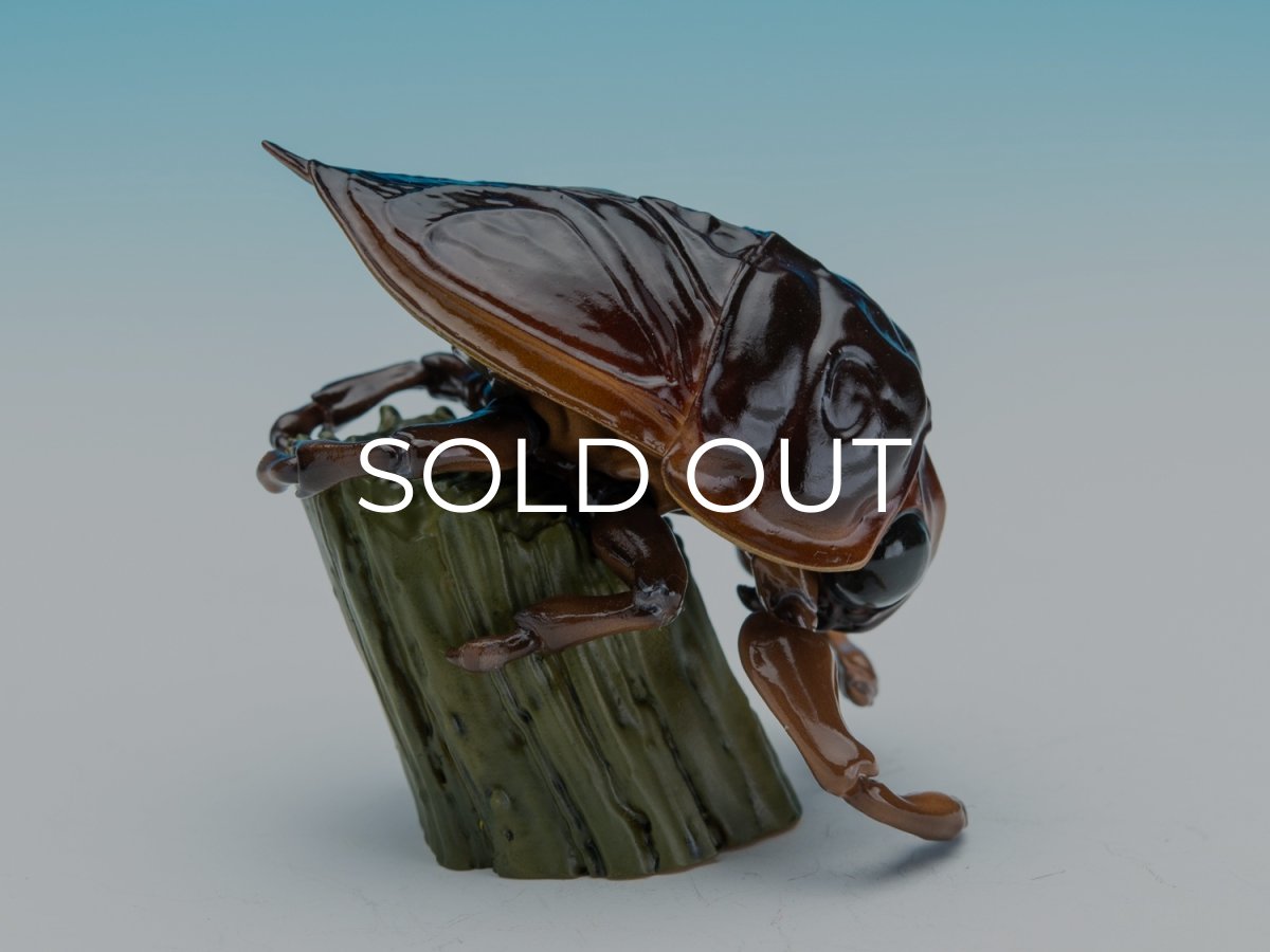 画像7: タガメ (7)