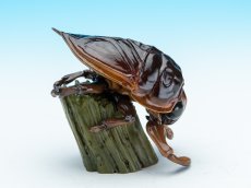 画像7: タガメ (7)