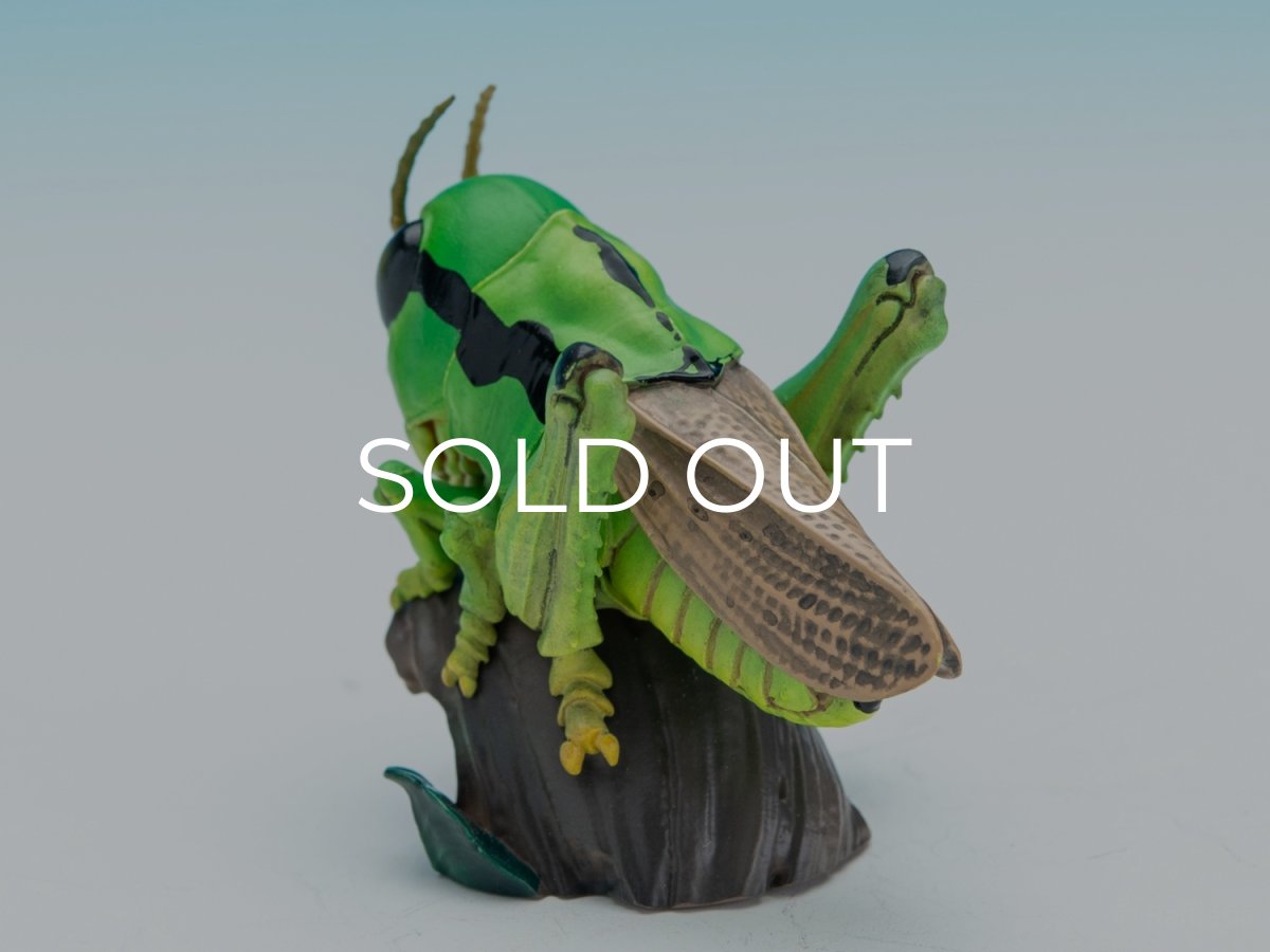 画像3: イナゴ【動画あり】 (3)