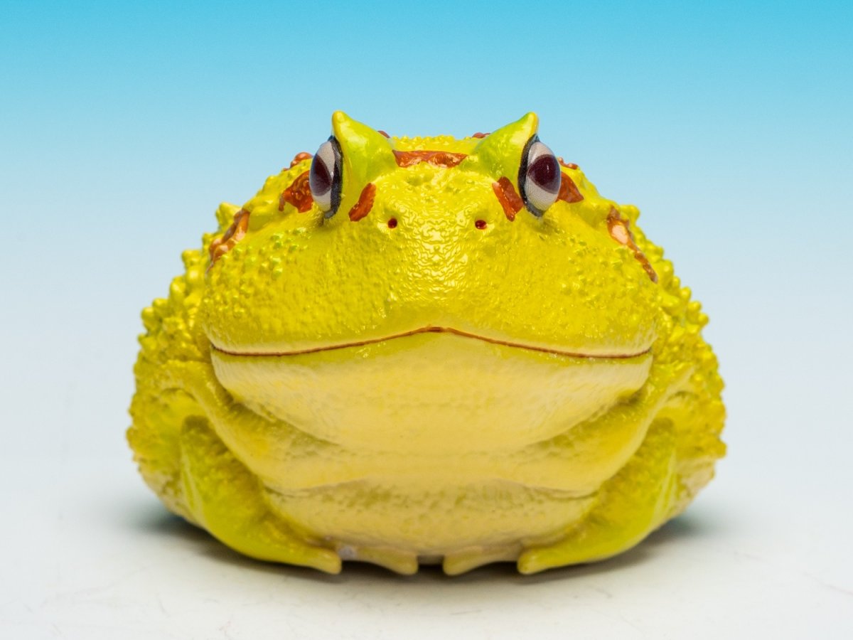 画像2: クラウンウェルツノガエル（ピカチュウ） (2)