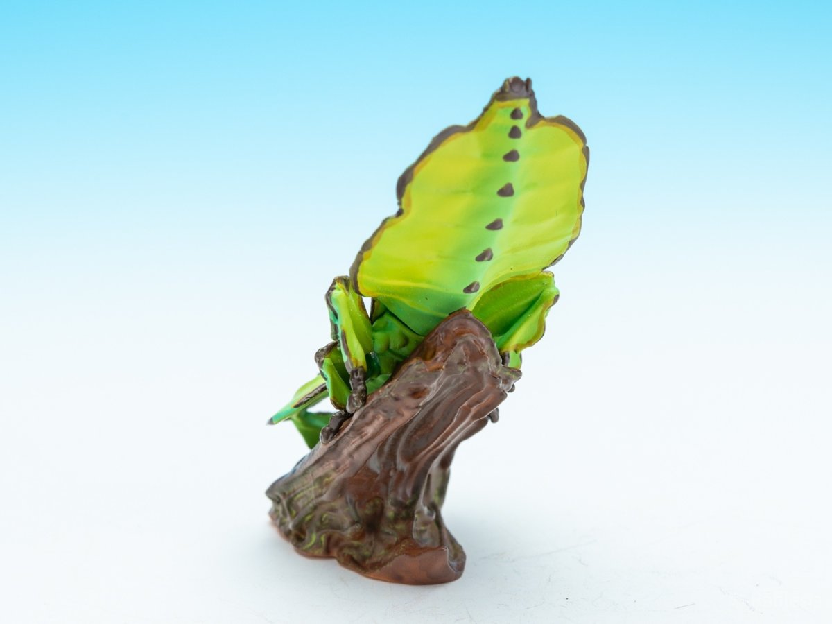 画像5: コノハムシ【動画あり】 (5)