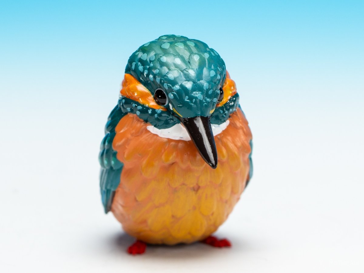 画像9: カワセミ (9)