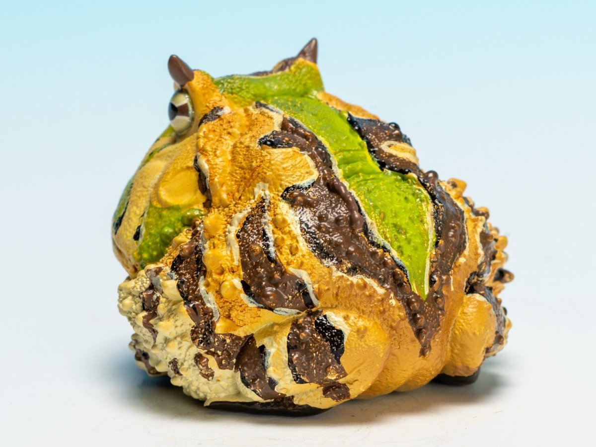 画像6: ベルツノガエル（A） (6)