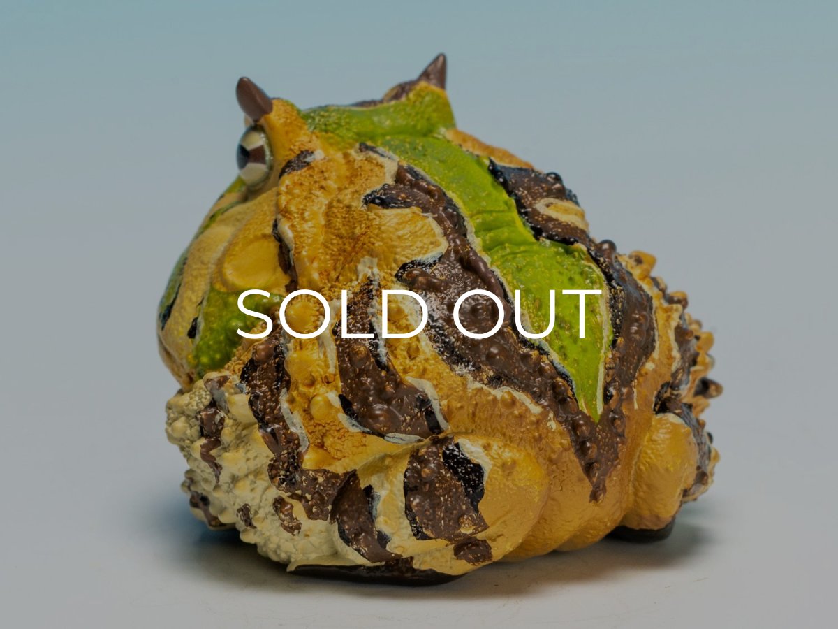 画像6: ベルツノガエル（A） (6)