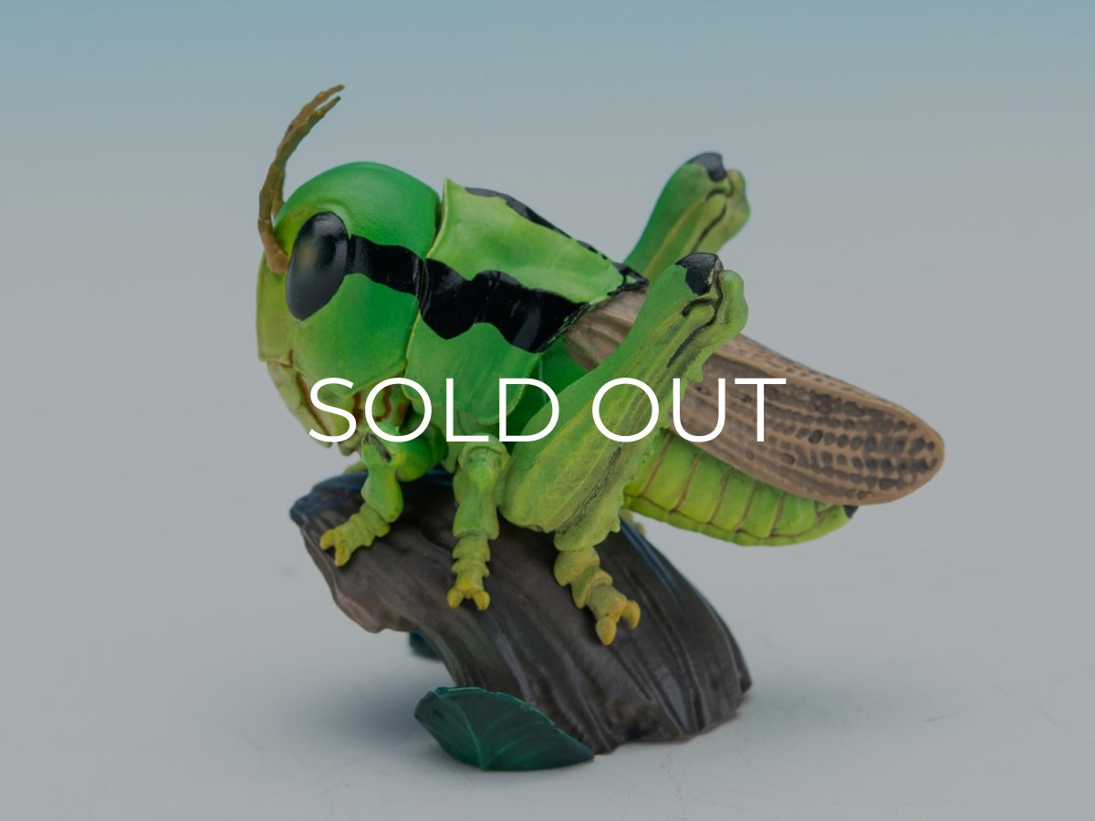 画像2: イナゴ【動画あり】 (2)