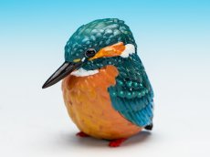 画像1: カワセミ (1)