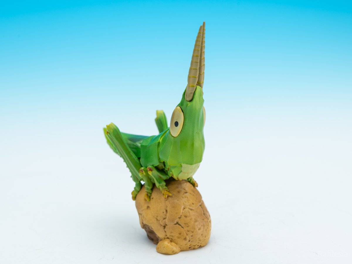 画像7: ショウリョウバッタ【動画あり】 (7)