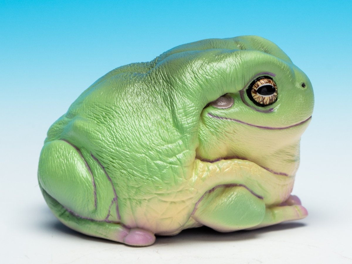 画像9: イエアメガエル（爺さん） (9)