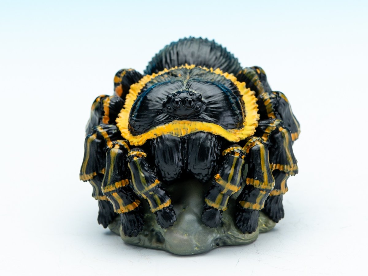 画像2: ブラジリアンジャイアントブロンド【動画あり】 (2)