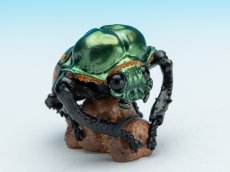 画像1: ヤンバルテガネコガネ (1)