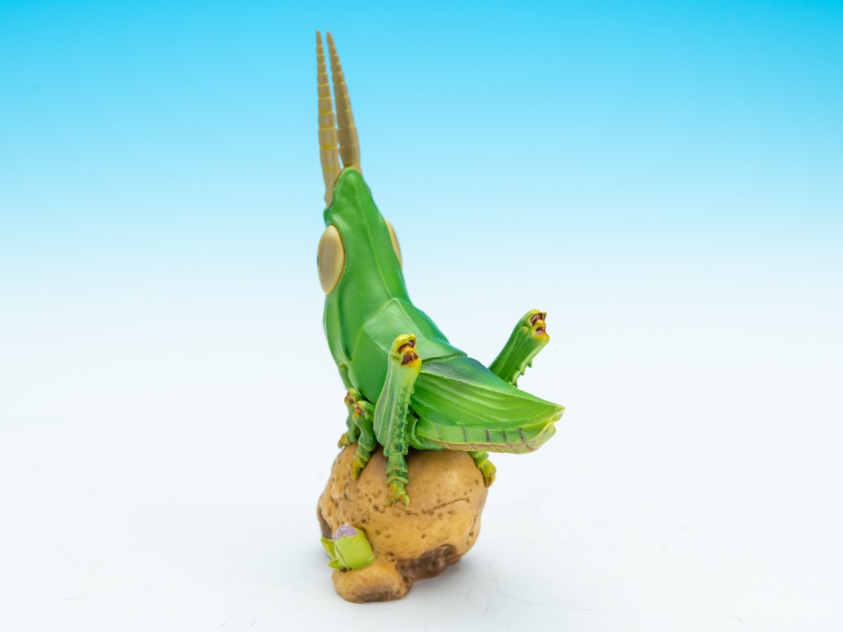 画像3: ショウリョウバッタ【動画あり】 (3)