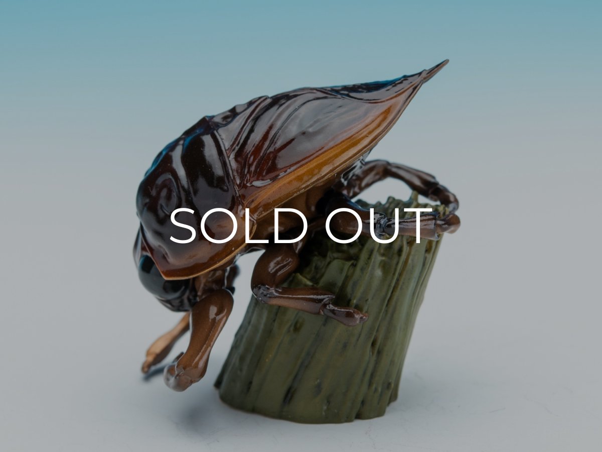 画像5: タガメ (5)