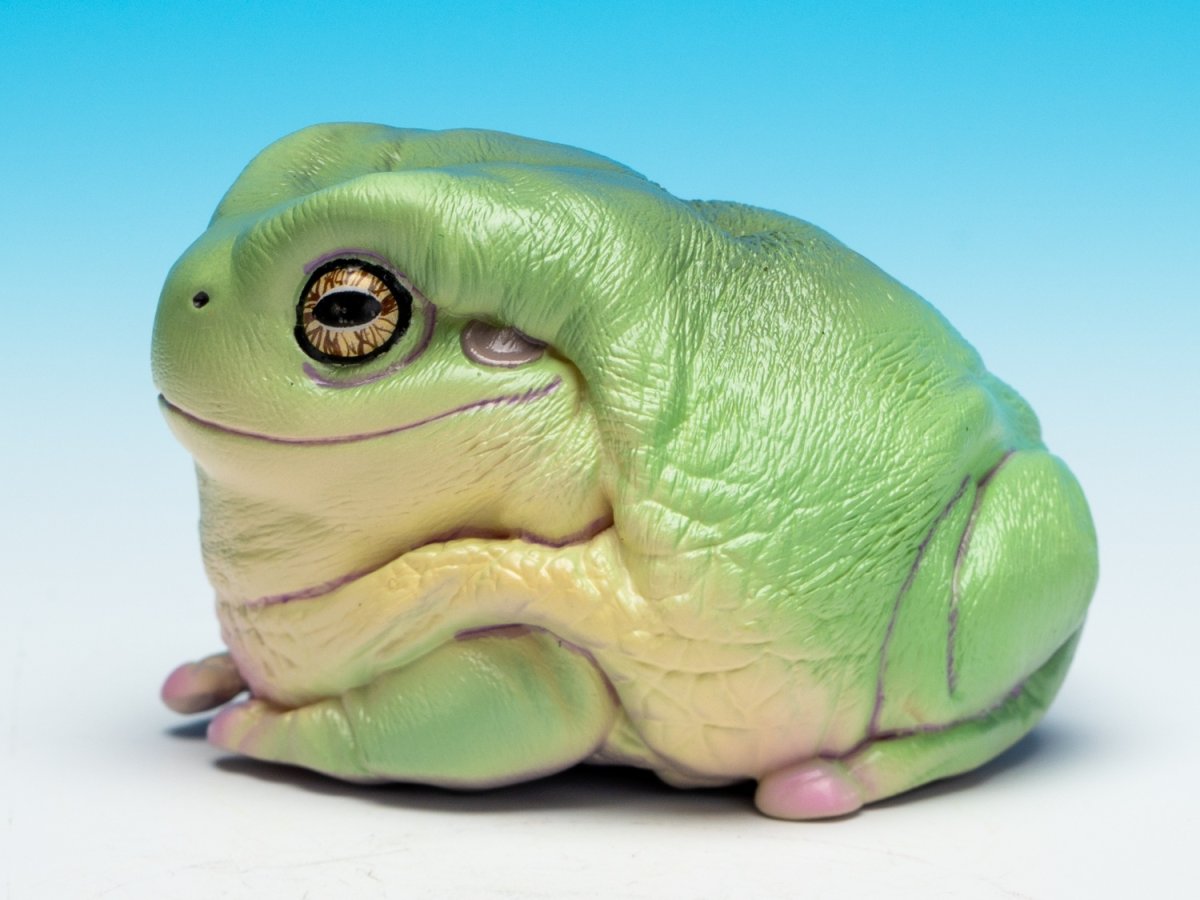 画像5: イエアメガエル（爺さん） (5)