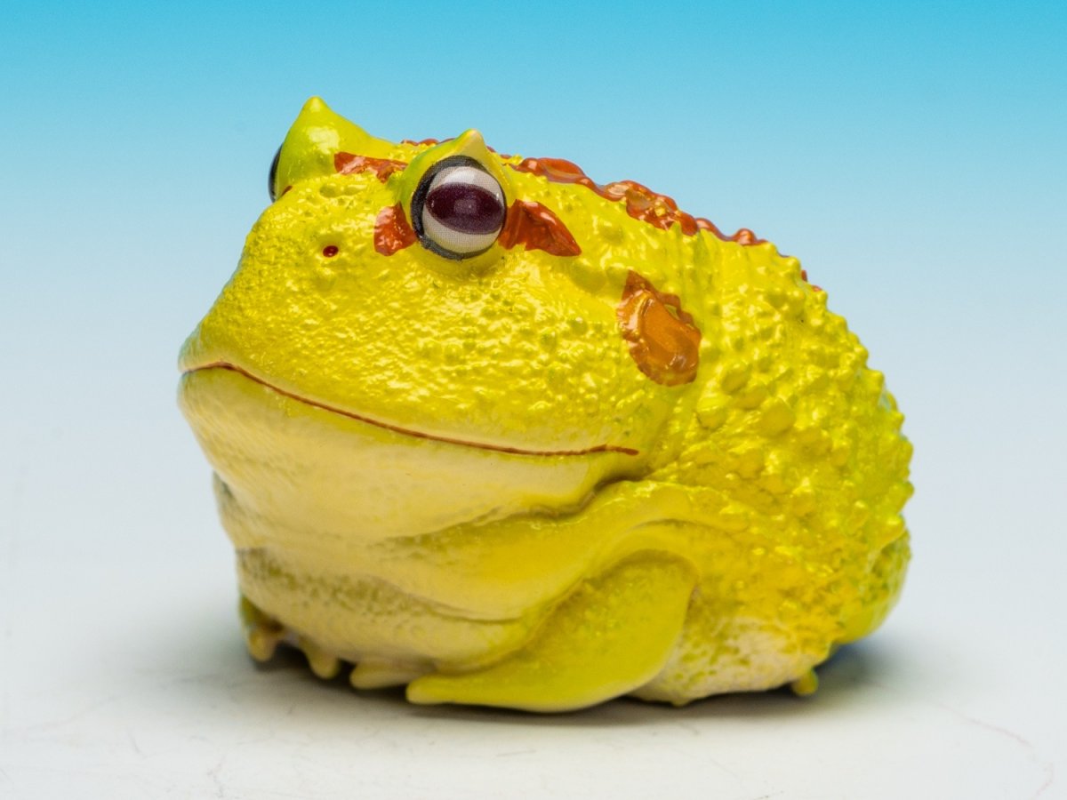 画像4: クラウンウェルツノガエル（ピカチュウ） (4)