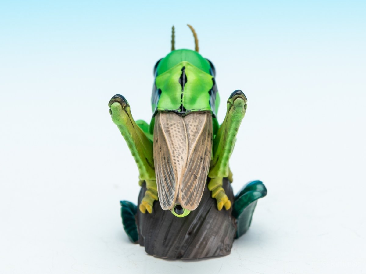 画像4: イナゴ【動画あり】 (4)