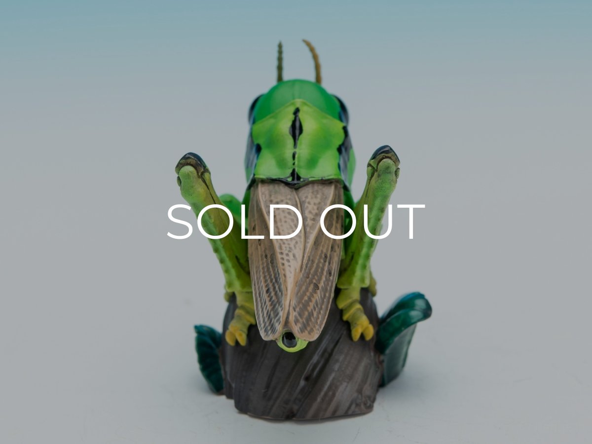 画像4: イナゴ【動画あり】 (4)