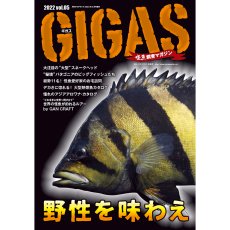 画像1: GIGAS　Vol.5 (1)