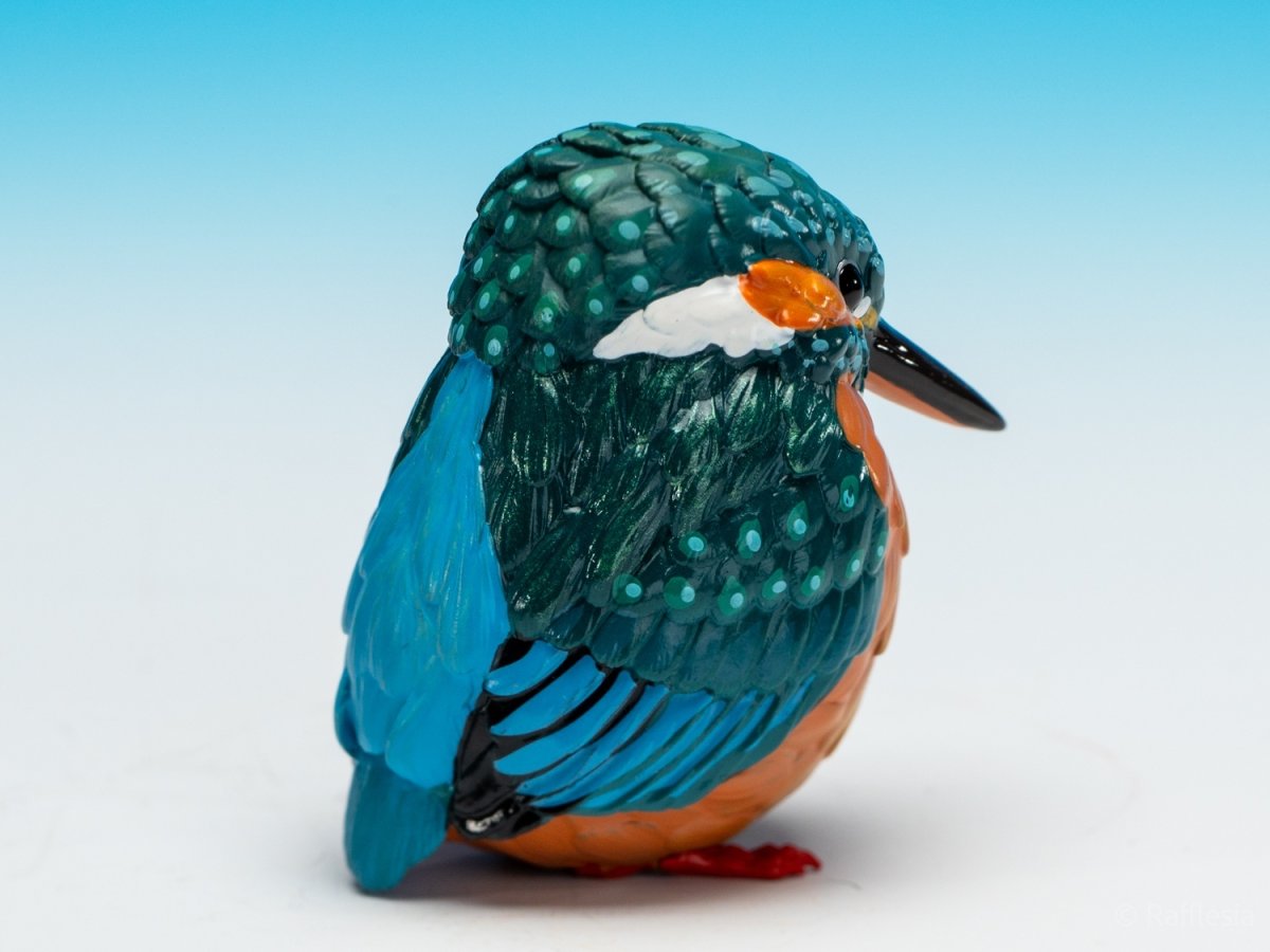 画像5: カワセミ (5)