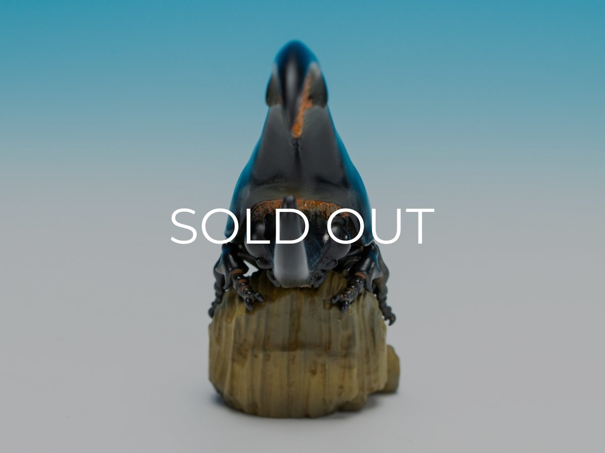 画像3: ヘラクレスオオカブト（黄） (3)