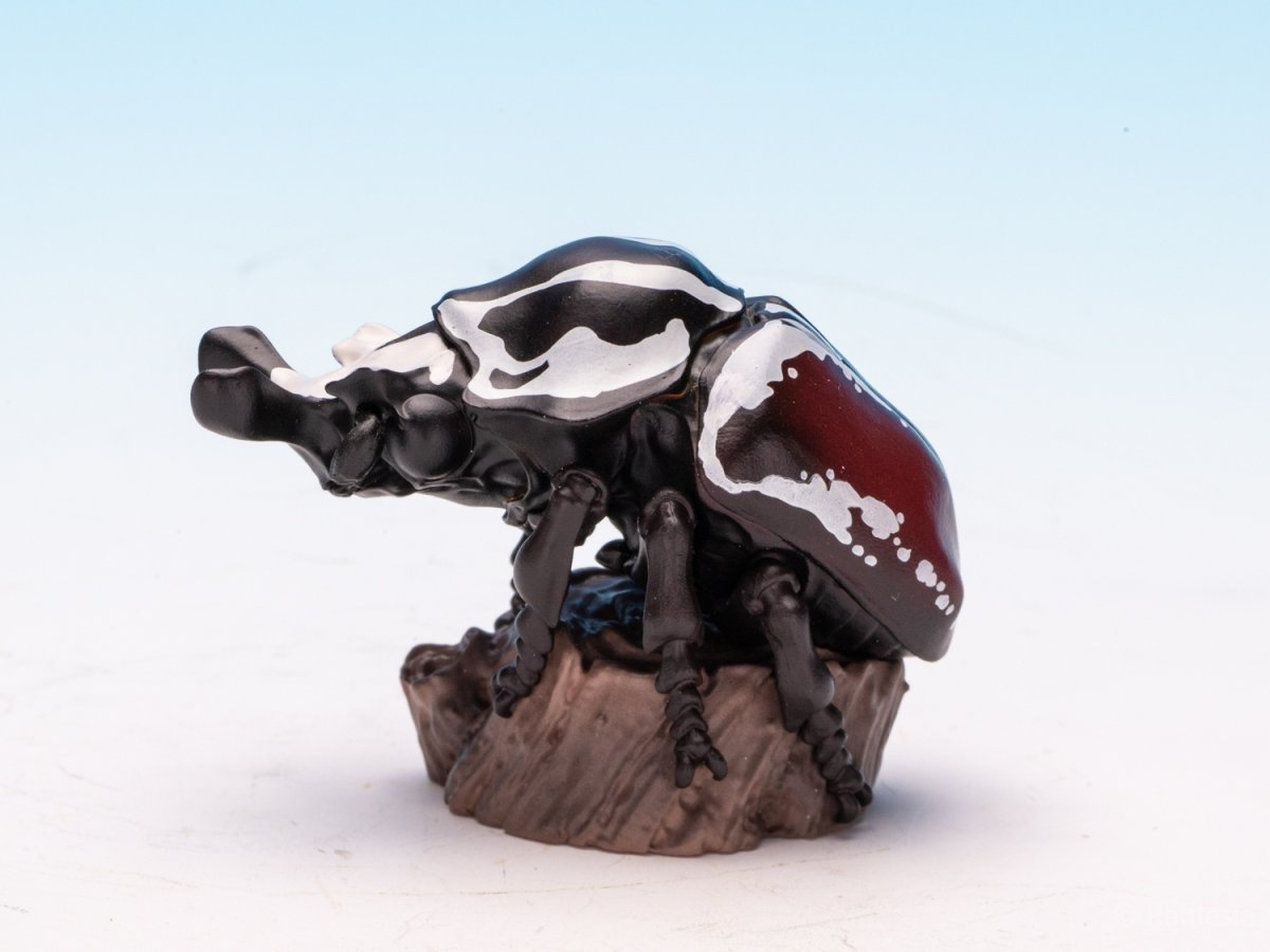 画像4: ゴライアスオオツノハナムグリ【動画あり】 (4)