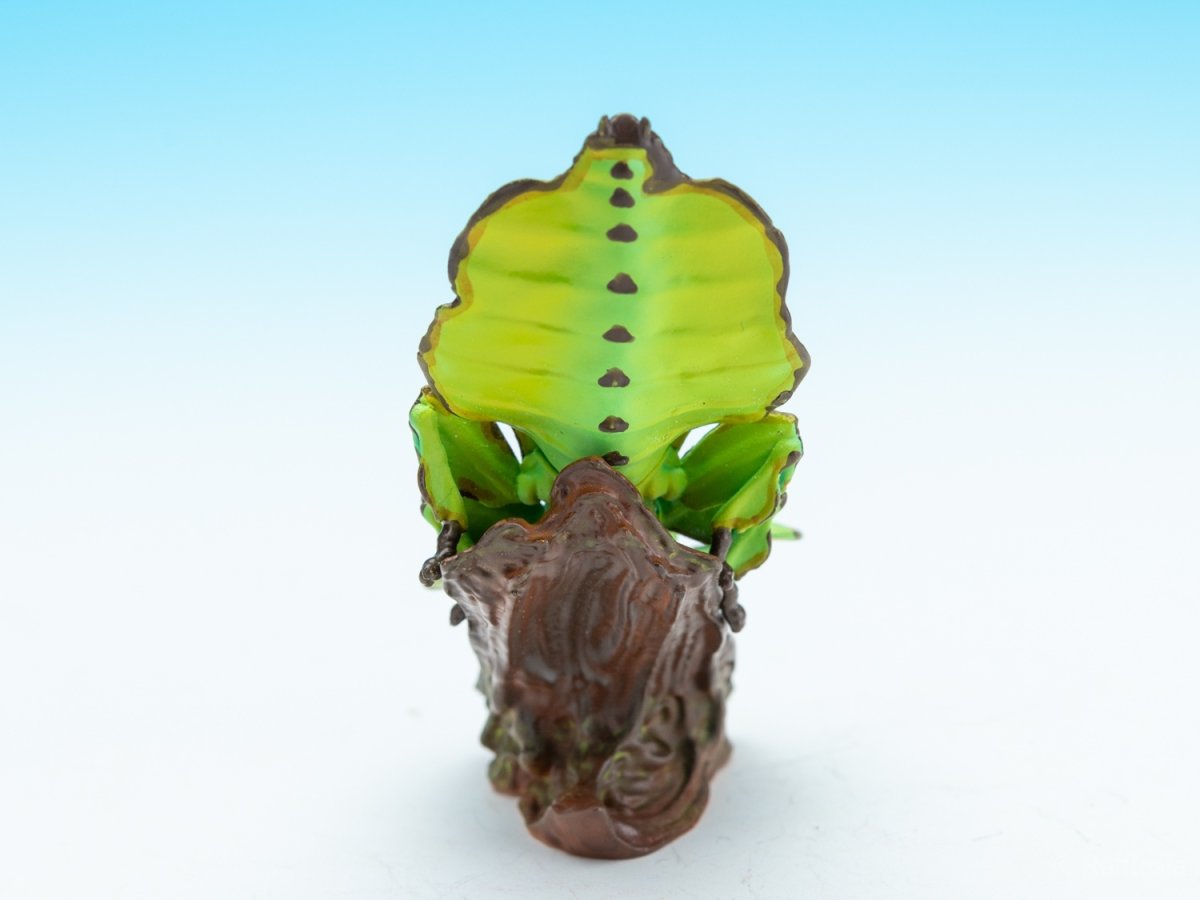 画像6: コノハムシ【動画あり】 (6)