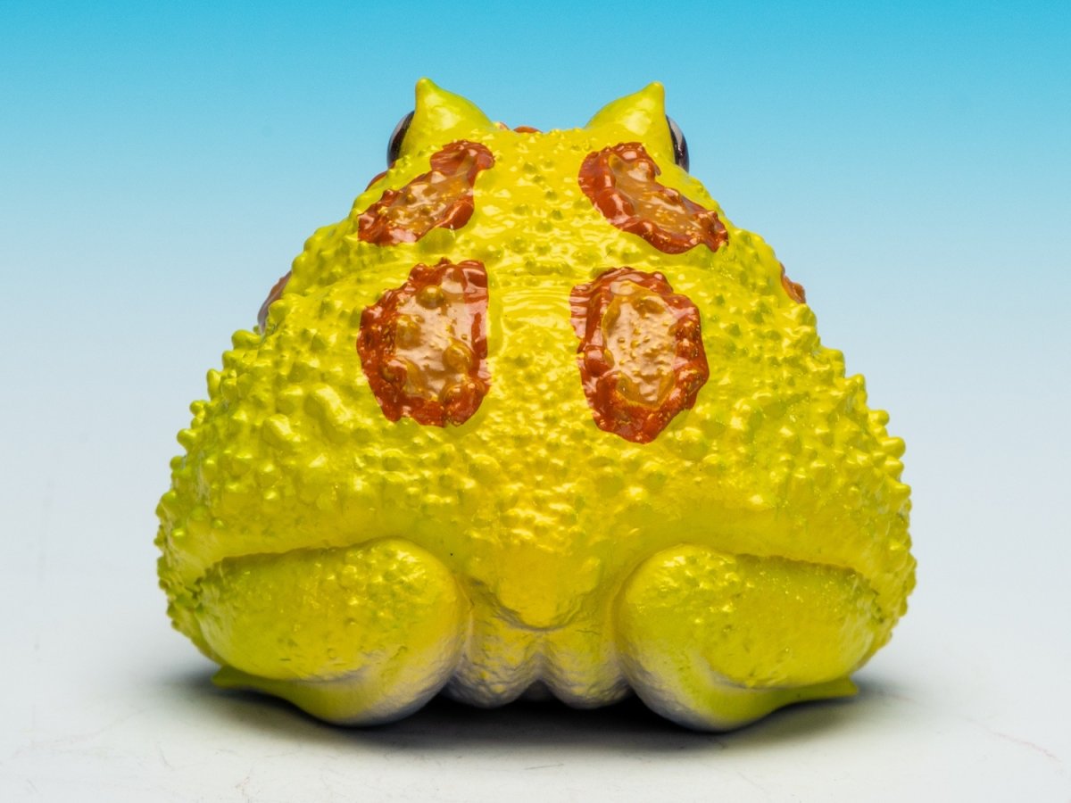 画像7: クラウンウェルツノガエル（ピカチュウ） (7)