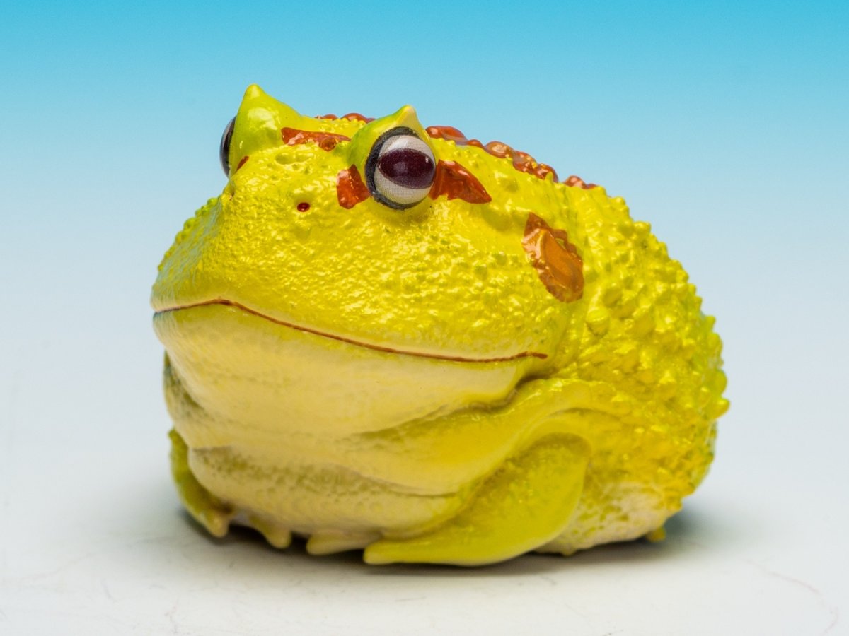 画像3: クラウンウェルツノガエル（ピカチュウ） (3)