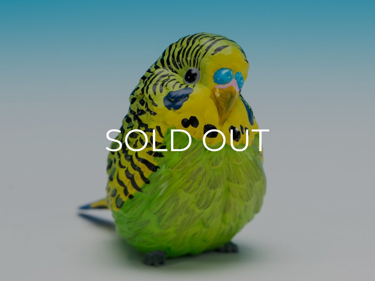 画像2: セキセイインコ（緑） (2)