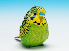 画像2: セキセイインコ（緑） (2)