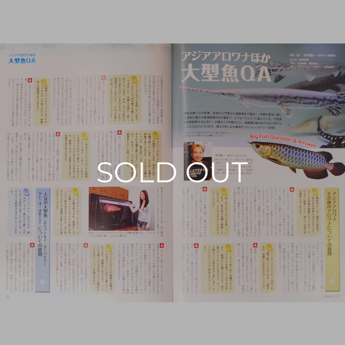 画像5: アロワナライブ　VOL.１ (5)