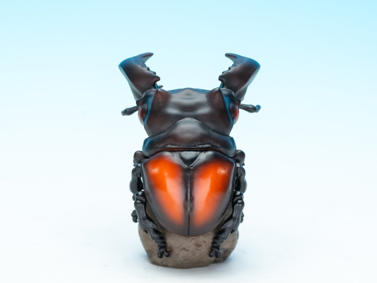 画像5: パリーフタマタクワガタ【動画あり】 (5)