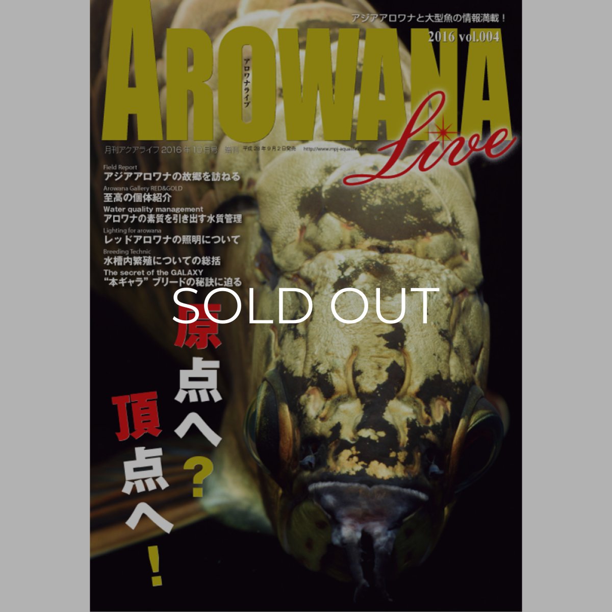 画像1: アロワナライブ　VOL.４ (1)