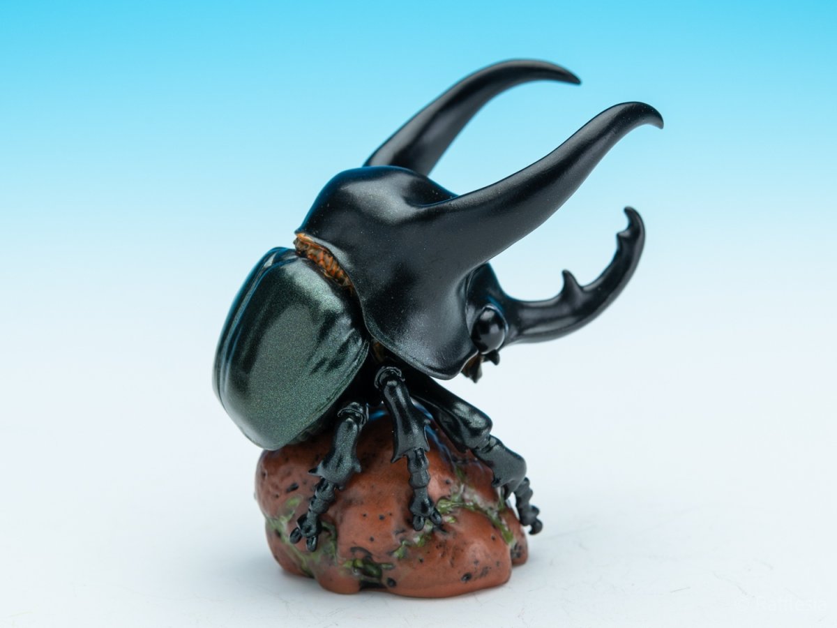 画像4: アトラスオオカブト (4)