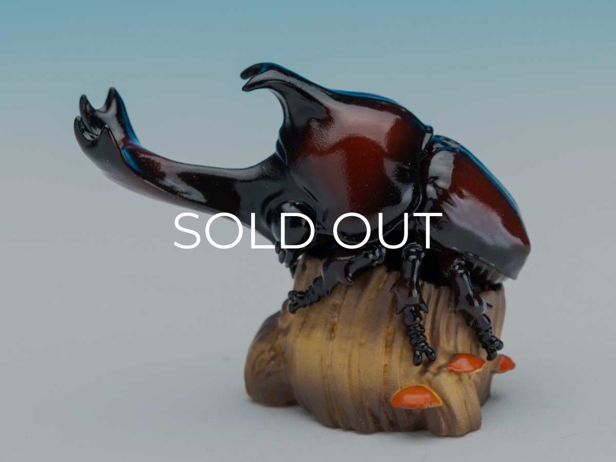 画像2: カブトムシ (2)