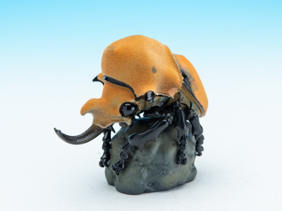 画像2: エレファスゾウカブト (2)