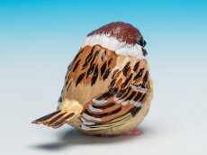 画像5: スズメ (5)