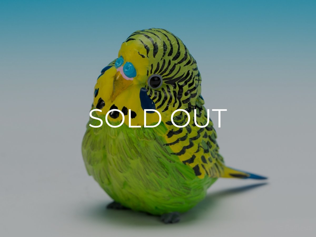 画像4: セキセイインコ（緑） (4)