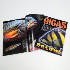 画像2: GIGAS　Vol.5 (2)