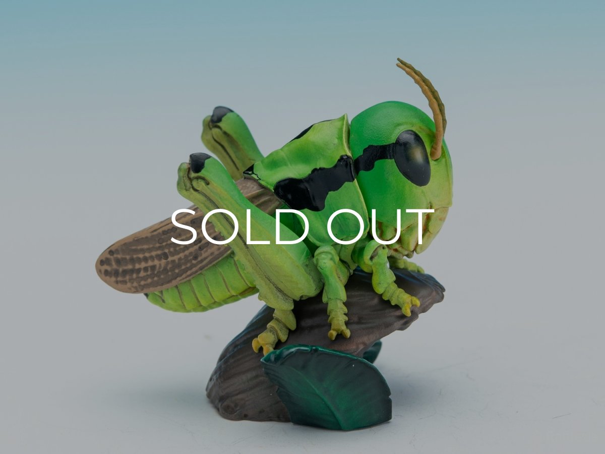 画像6: イナゴ【動画あり】 (6)