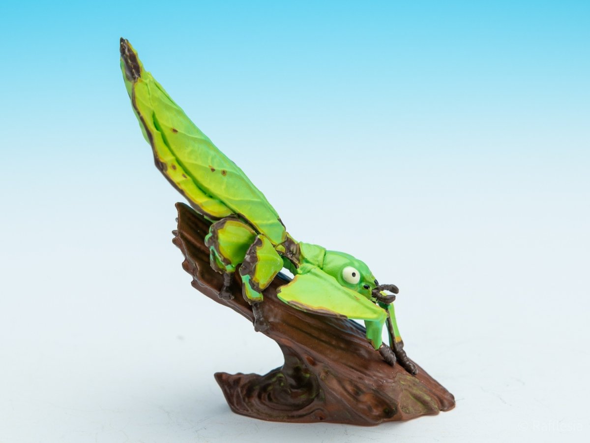 画像8: コノハムシ【動画あり】 (8)