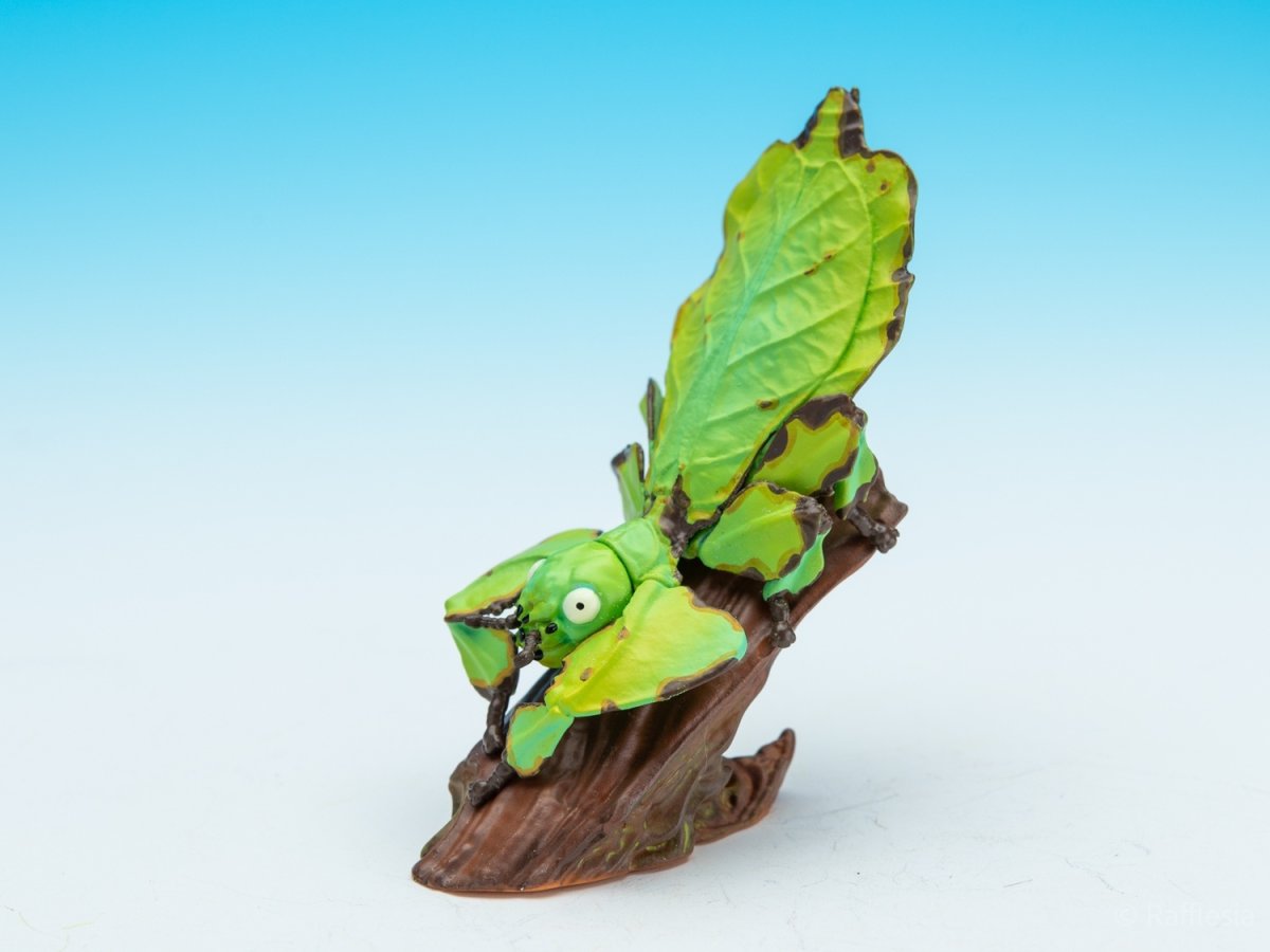 画像3: コノハムシ【動画あり】 (3)