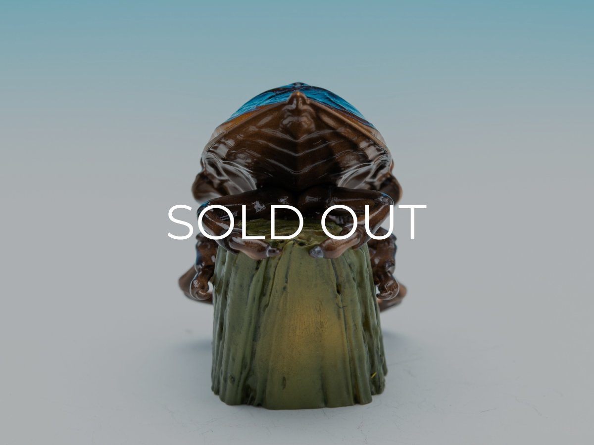 画像6: タガメ (6)