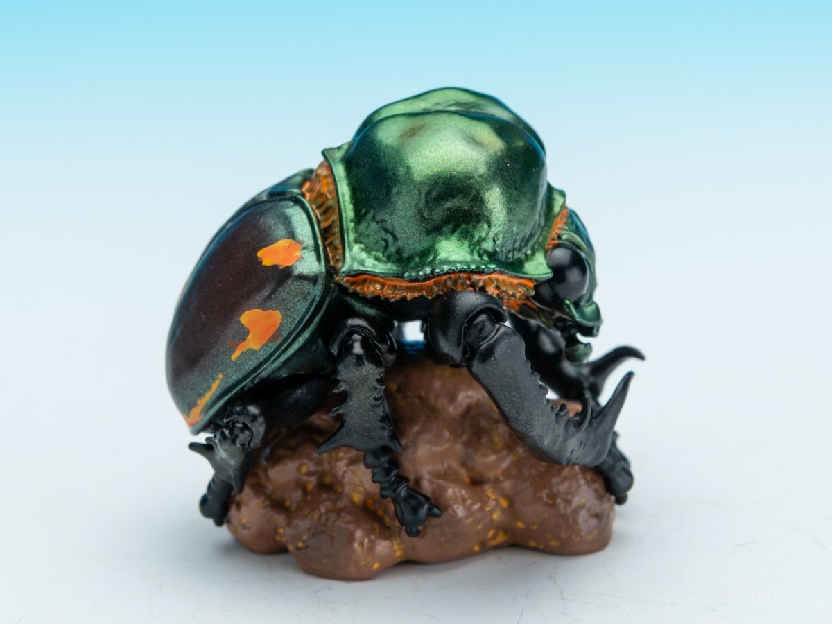 画像8: ヤンバルテガネコガネ【動画あり】 (8)