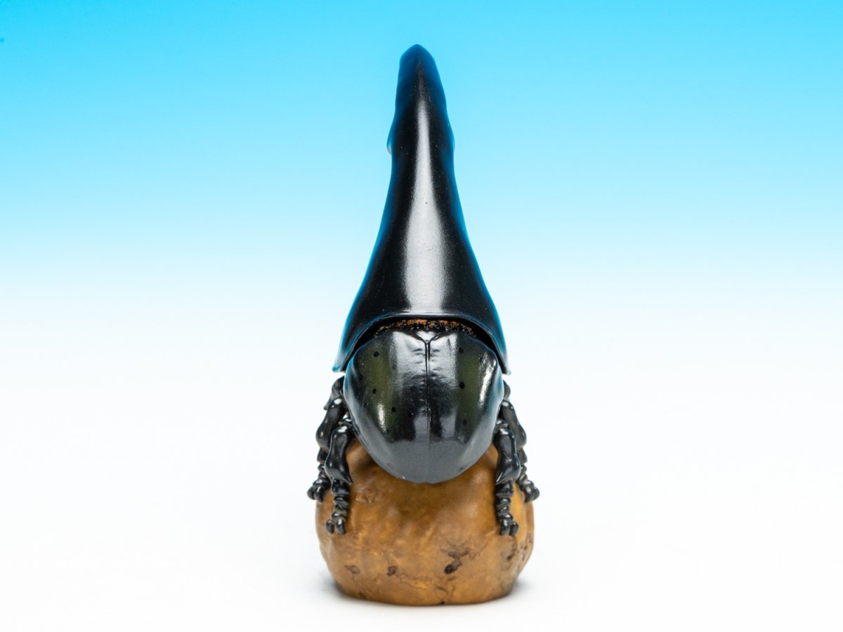 画像8: ヘラクレスオオカブト（黒） (8)