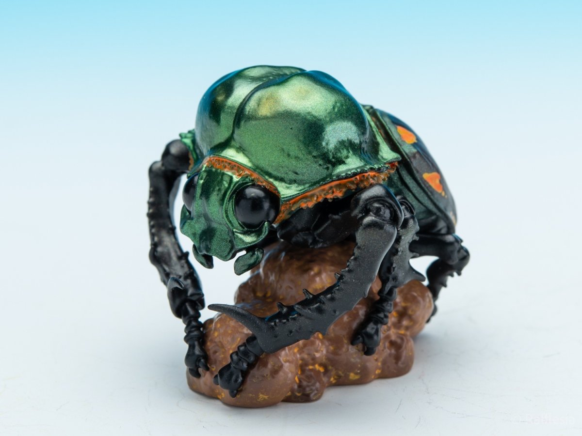 画像3: ヤンバルテガネコガネ【動画あり】 (3)