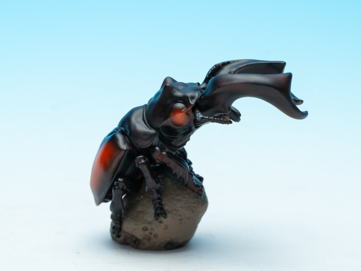 画像7: パリーフタマタクワガタ【動画あり】 (7)