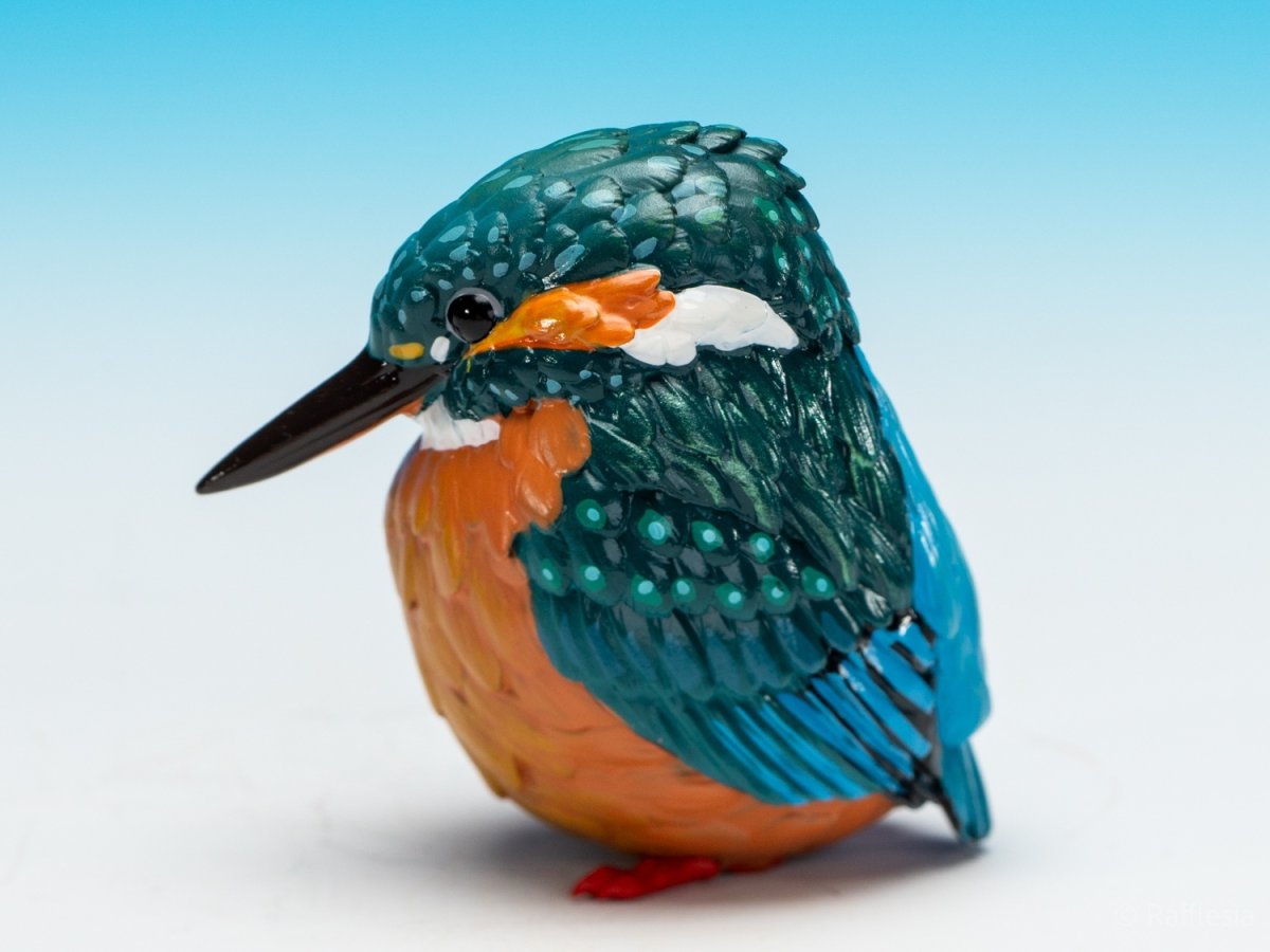 画像2: カワセミ (2)