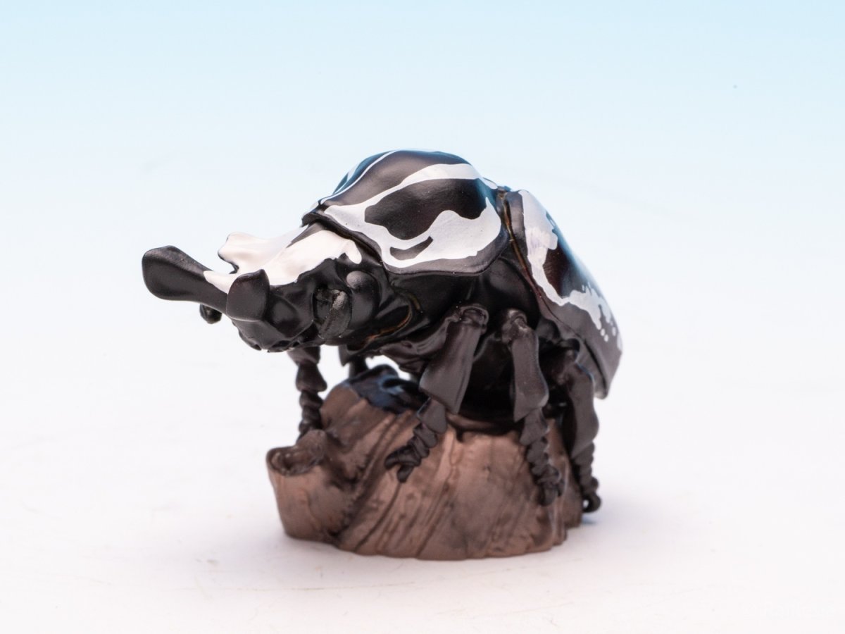 画像3: ゴライアスオオツノハナムグリ【動画あり】 (3)